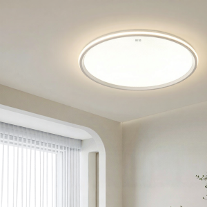 HUIPU | Full Spectrum Eye-Protection Ceiling Light for Bedroom Modern Minimalist