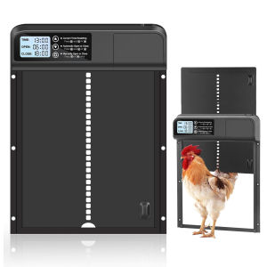 Automatic chicken coop door available in solar or battery versions with timer perfect for farm use