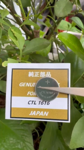 Viên pin năng lượng đồng hồ CTL1616F CTL1616 1616 CTL 1616