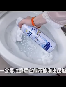 SG Stock｜Japanese toilet bowl cleaner foam type descaling and leave fragrance 500ml