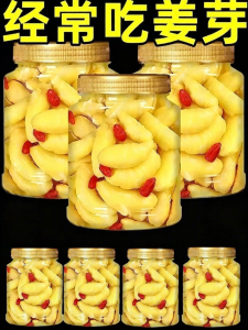 WENXIANGZAN | Sour and Sweet Ginger in Vinegar Pickles