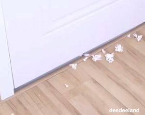 [10ชิ้น] ที่ปิดช่องบานประตูหน้าต่าง ที่กั้นประตู กั้นเสียง ร่องประตู ที่กันฝุ่น กันแมลง กันแอร์ออก HS99.