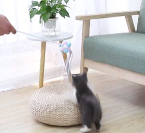 เล่นแมว ไม้ตกแมว บอลกลมเล็ก น่ารัก พร้อมส่ง ของเล่นแมว ไม้ตกแมว แบบบอลกลมเล็ก น่ารัก พร้อมส่ง