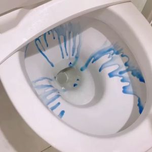 BI Sikat Kloset WC Ganggang Panjang R825