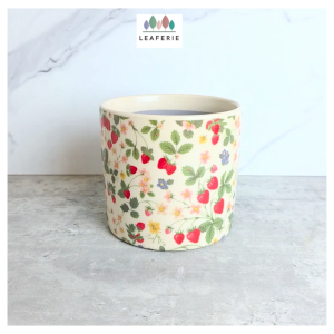 The Leaferie Belis plant pots. Ceramic flowerpot flower pot planter