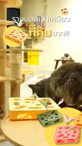 รางบอลแมว ของเล่นแมว เสริมสร้างทักษะ  มีขนนก บอลมีเสียง ของเล่นสัตว์เลี้ยง