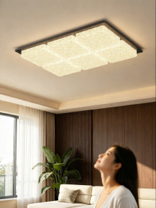 DGY | Italian Minimalist Luxurious Ceilng Light