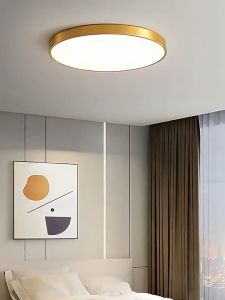 Ultra-thin 2cm LED Ceiling Light Lampu LED Lampu Tidur Bilik Outdoor Light Bathroom Balcony Kitchen And Bathroom Light Aisle Light Lampu Bilik