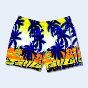 Kids 4-7 Years Old Boy Swimming Trunks Short Swim Short Beach Short Quality P-064