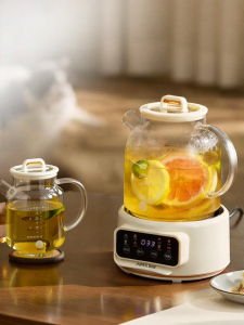 APIXINTL | Multifunctional Pure Glass Home Use Decoction Kettle