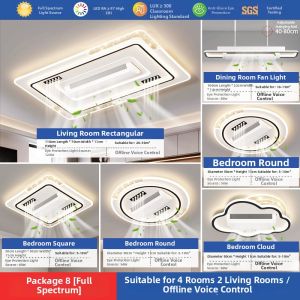 Modern Simple Large Bladeless Ceiling Light