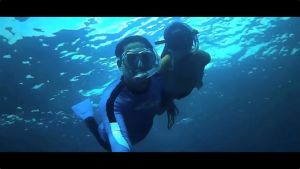 กล้องติดหมวก มีระบบกันสั่นล่าสุด กล้องติดหมวกกันน็อค กล้องโกโปร