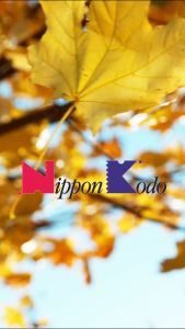 [Nippon Kodo] Kayuragi Narcissus 40 Sticks | Incense Expertly Crafted In Japan