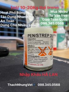 Hoạt Phổ Rộng PEN/STREP 20/20 INJ [chai 100ml] Penstrep an toàn Pentrep dùng cho được nhiều loài vật nuôi kể cả chó mèo. PenTep nhập khẩu Hà Lan chất lượng Châu Âu.