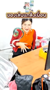 จิ้งจกปลอม​ แมงสาบ จิ้งจกยาง​ แพ็ค12 ตัว ตุ๊กแกปลอม แมลงปลอม ตะขาบ งูยาง ของเล่น สัตว์ปลอม พร้อมจัดส่ง