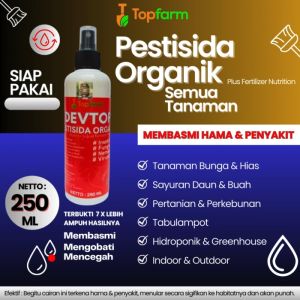 Obat Hama Tanaman Bunga: Solusi Organik & Efektif