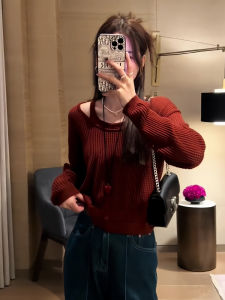 2025 Autumn New Arrival Womens Fashionable Knitted Hollow Long Sleeve Top And Vest Two-Piece Set High-End Sensation Versatile