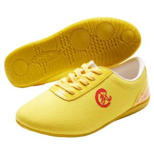 WUYINXIANG | Martial Arts Training Shoes Rubber Sole Cloth Shoe