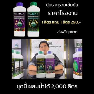 ติดดก จบด้วยชุดเดียว Vamax Cabmax ธาตุอาหารรวม + แคลเซียมโบรอน ซื้อ 1 แถม 1 โรงงานจัดส่งเองค่ะ Vamax ราคา Vamax คือ - Lazada