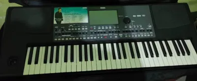 Korg pa 600 normal