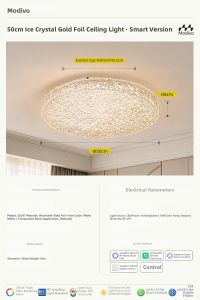FANCY LAMP CLUB | Luxurious Foil Ceiling Light
