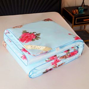 Thickened Silk Comforter Air Conditioning Summer Coolness Ice Silk Thin Double Spring Autumn Single Person Winter Warmth