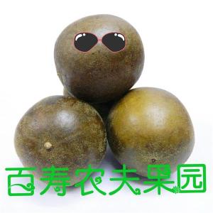 Traditional Mangosteen 120 Pieces in Bulk Small Sized Fruit Guilin Specialty Guangxi Momordica Grosvenori Tea Dried Fruit Small Package 0.50kg