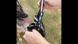 Rọ mõm nhựa dẻo TPR cho chó vừa đến siêu lớn  – Đen Ta pet shop