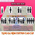 FREE SHIP Nệm cao su non American - Đủ size - Giá tại xưởng. 