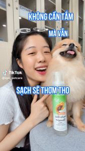 Bọt Tắm Khô Dưỡng Lông Cho Chó Mèo Tropiclean Waterless 220ml