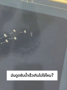 พรมห้องน้ำ พรมปูพื้น เสื่อปูพื้นห้องน้ำโคลนไดอะตอม 1ชิ้น พรมเช็ดเท้า พรมห้องน้ำ พรมเช็ดเท้ากันลื่นลาย น่ารักๆ พร้อมทุกครัวเรือน