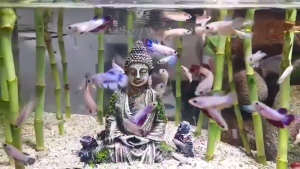 แต่งตู้ปลา รูปปั้นพระพุทธรูป รูปประภาคารโบราณ พระพุทธรูปหัวช้าง สําหรับตกแต่งบ้าน ตู้ปลา