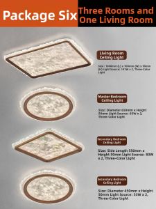 WOGU | New Chinese Huotumu Ceiling Light
