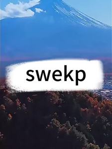 swekp | No Wash Stain Removal Wet Wipes