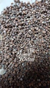 Mrica Bolong 1 kg atau Merica Bolong 100 gr