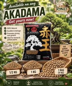 Japan Akadama soil-Top quality Hard AKADAMA- japan akadama
