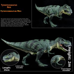 Large Realistic Static Solid T-Rex Model