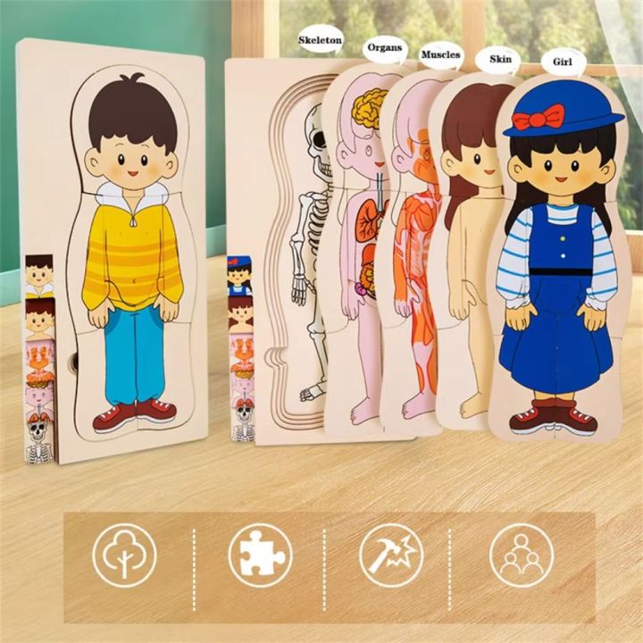 BEIBEI Educational Toys Early Learning Toys Multi-Layer Wooden Human Body Puzzle Boys Girls Parent-child Interaction Body Structure Puzzle Learning Toys Panel Toy Educational Anatomy Jigsaw Cognitive Teaching Aids
