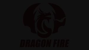 DRAGONFIRE Disposable Tattoo Needle RL CM Makeup Permanent 10PCS With Membrane Safe Cartridges Tattoo Cartridge Needles For Art