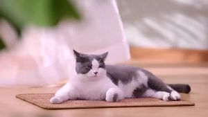 【Buy 1 Get 1】Sisal cat scratching pad natural sisal cat scratching pad anti-cat scratching sofa protection pad cat scratching board cat scratching board cat litter mat furniture protection claw pad sleeping mat durable large cat scratching pad