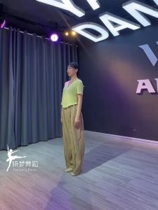 舞蹈服上衣女夏季现代宽松罩衫中国古典成人练功跳舞专用新款运动服Dance attire top womens modern loose fitting summer blouse Chinese classical adult martial arts training and dance specific new sportswear