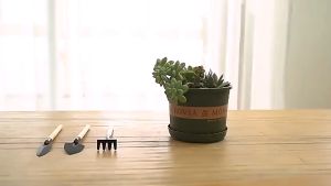 Set Sekop Mini Tanaman Hias Shovel Spade Gardening Tools 3 PCS