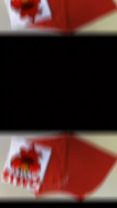 TERNO SHORTS CARTOON CHARACTER GRAPHIC DESIGN FOR WOMENSWEAR