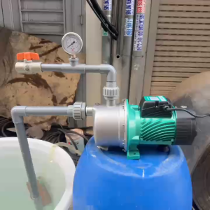 Máy bơm nước con lợn đầu inox 800W (1HP) TAIFU JET1100S - Máy bơm đầu lợn bán chân không tự mồi