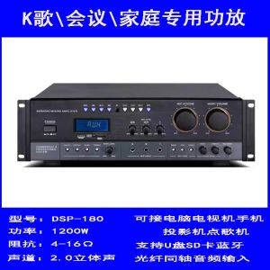 SAST Professional Family KTV Bluetooth Stereo Dual Channel Power Amplifier Home Subwoofer 8-Inch 10-Inch Card Bag Loudspeaker