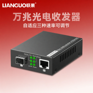 LIANGUO | High Speed Transmission Surge Protection Network Media Converter