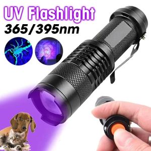 395/365nm Đèn pin UV đèn đèn LED USB có thể sạc lại Đen Bọ Cạp UV Pet nước tiểu Đèn pin zoom đèn