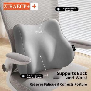 TILAIEN | Ergonomic Lumbar Support Memory Foam Seat Cushion