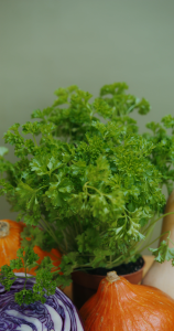 OGL Veggie Gold by O Green Living