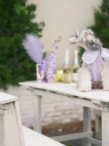 Mooki pet | Quần Áo & Yếm Cho Chó Nhỏ Mùa Thu Đông